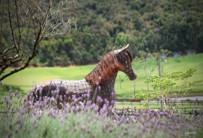 Leilão Castelo Azul (1)