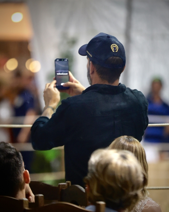 Leilão Castelo Azul (101)