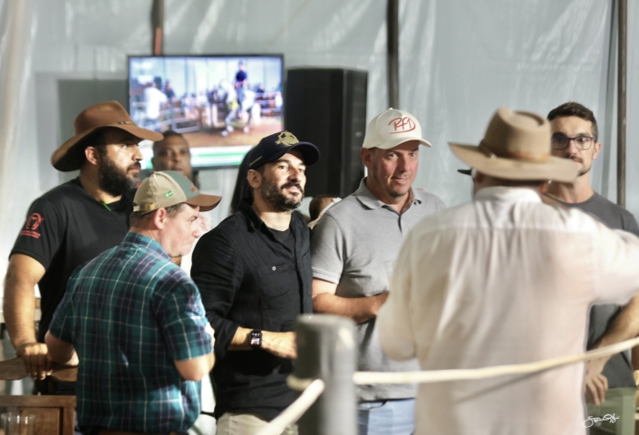 Leilão Castelo Azul (109)