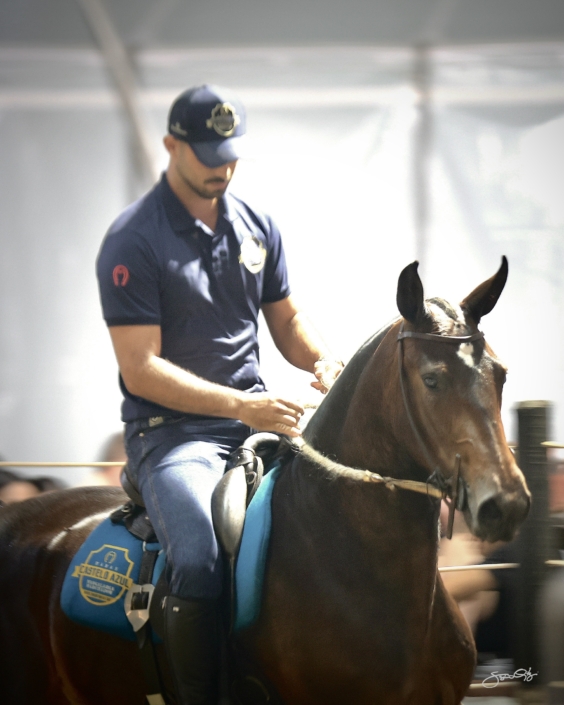 Leilão Castelo Azul (111)