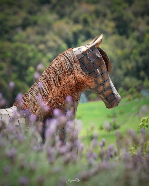 Leilão Castelo Azul (16)