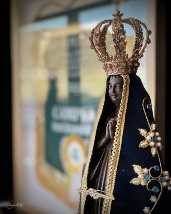 Leilão Castelo Azul (2)