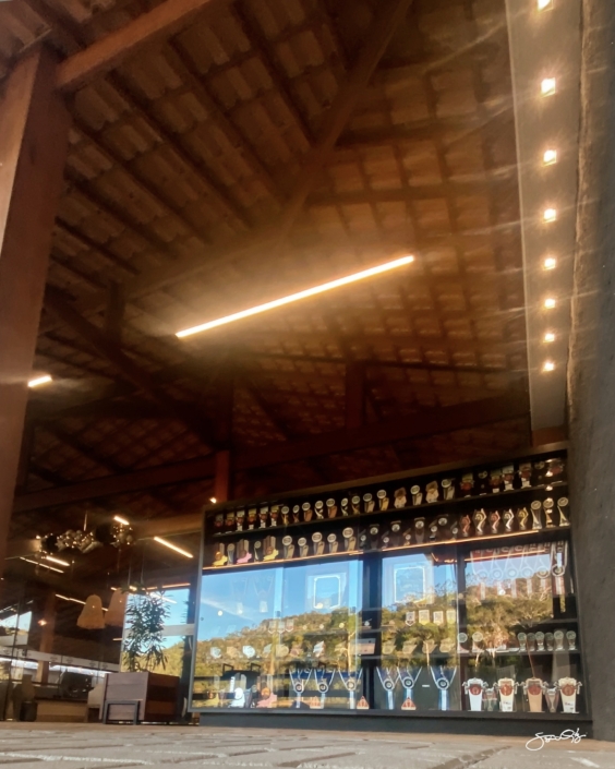 Leilão Castelo Azul (20)