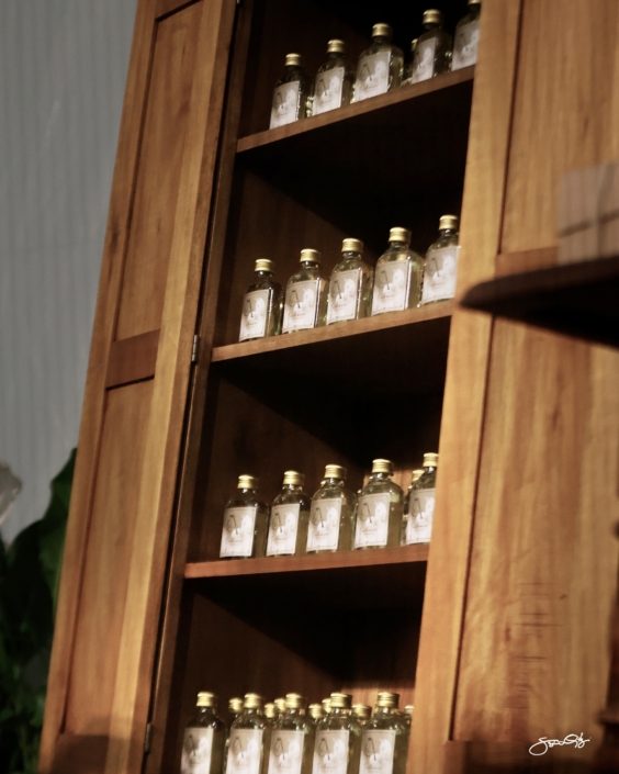 Leilão Castelo Azul (27)