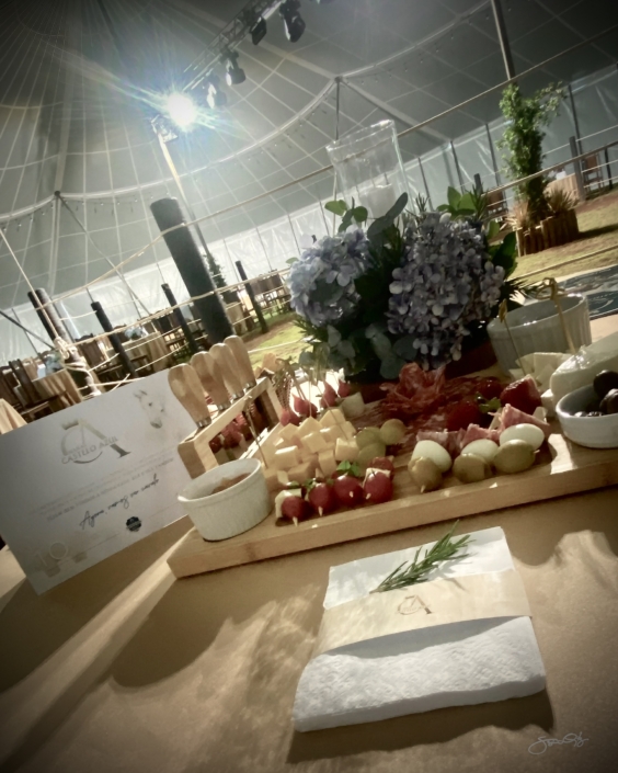 Leilão Castelo Azul (28)