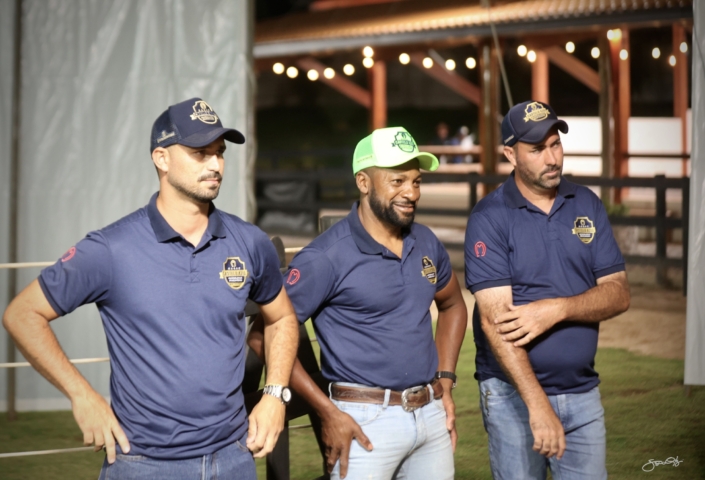 Leilão Castelo Azul (42)