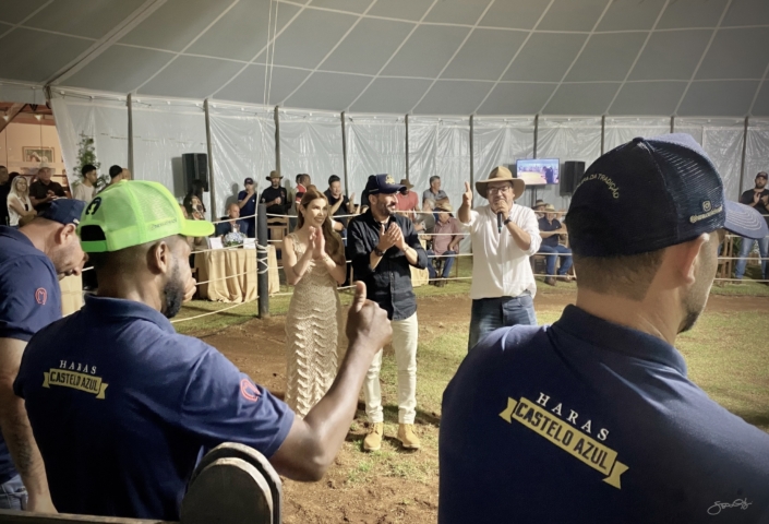 Leilão Castelo Azul (45)