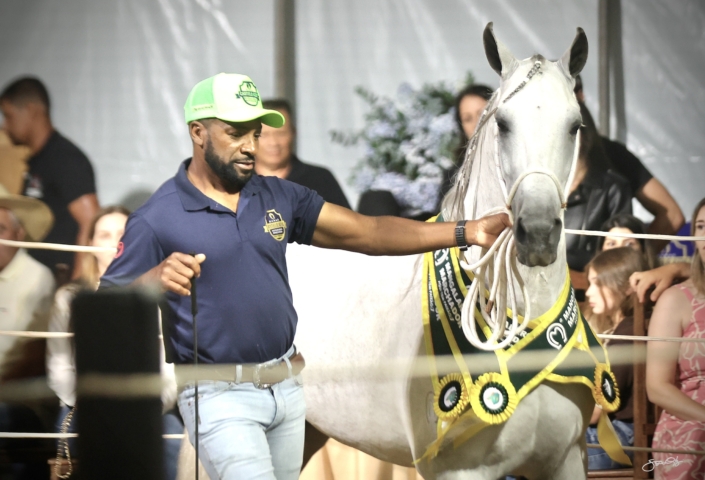 Leilão Castelo Azul (53)