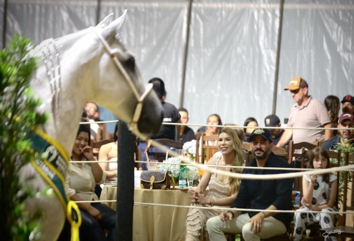 Leilão Castelo Azul (55)