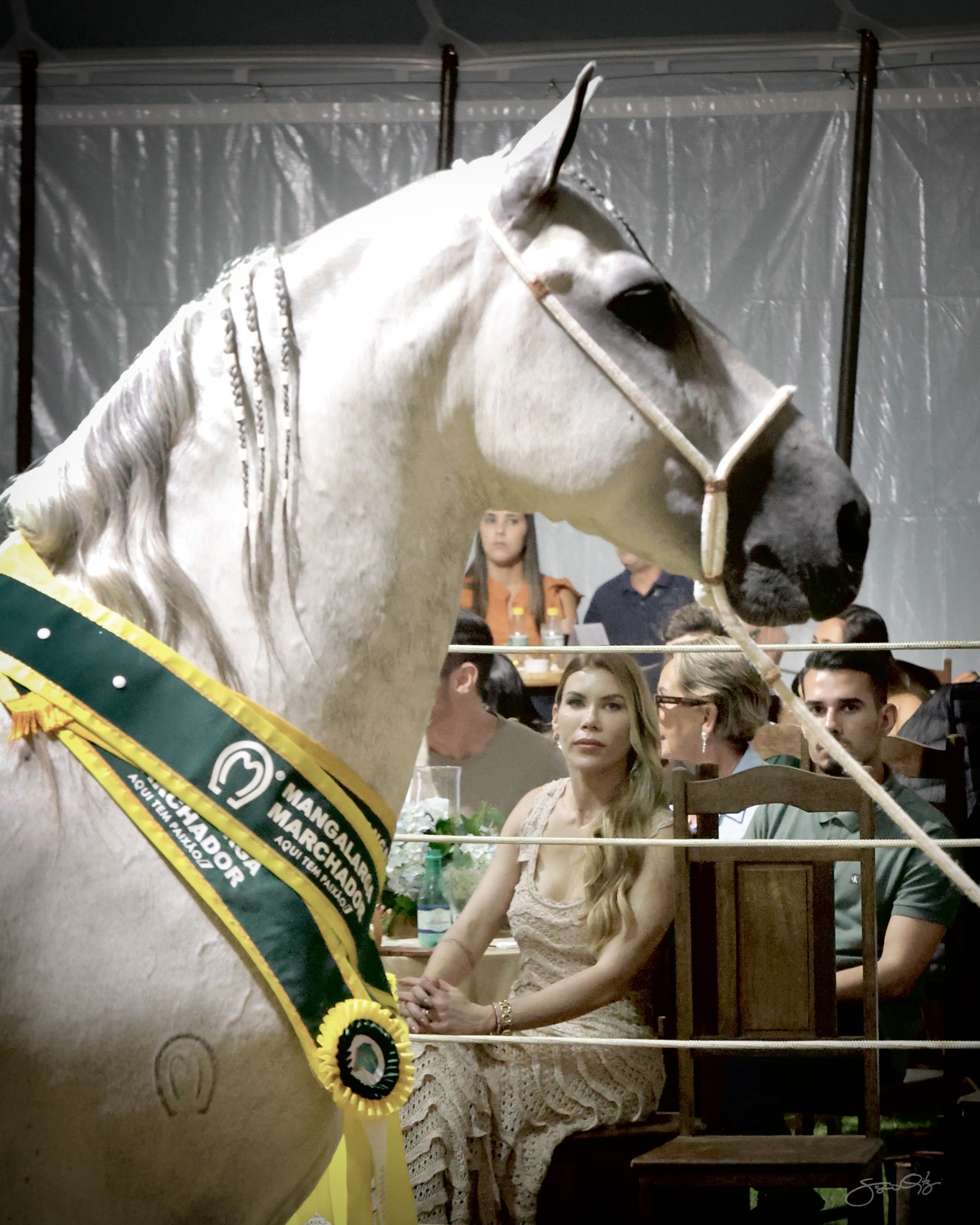 Leilão Castelo Azul (57)
