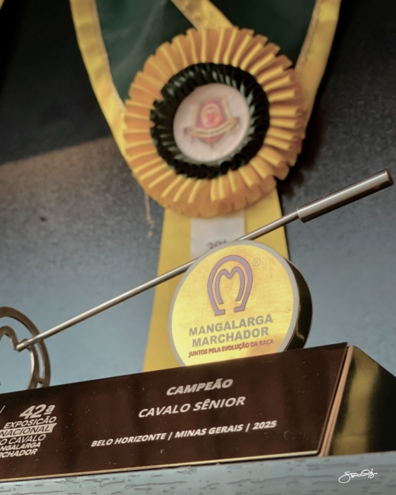 Leilão Castelo Azul (6)