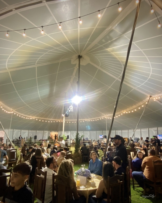 Leilão Castelo Azul (66)