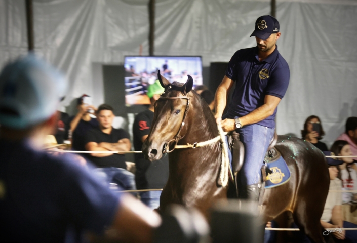 Leilão Castelo Azul (67)