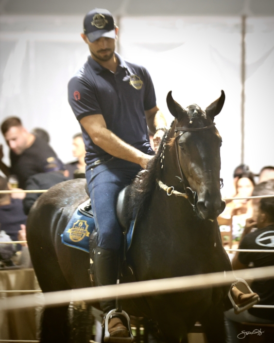 Leilão Castelo Azul (68)