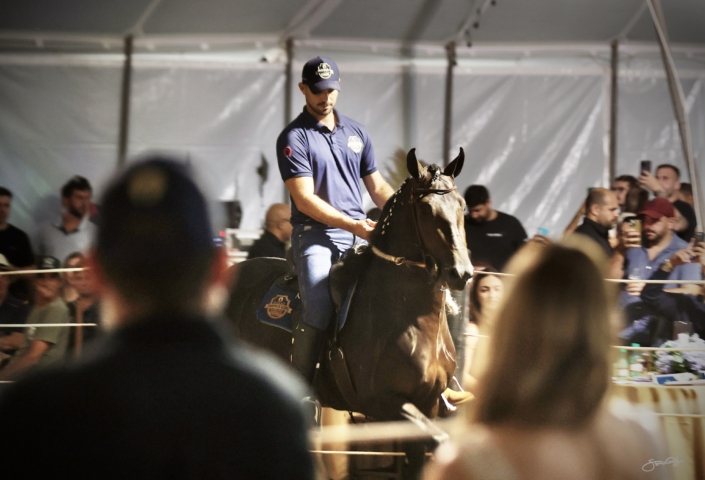 Leilão Castelo Azul (70)