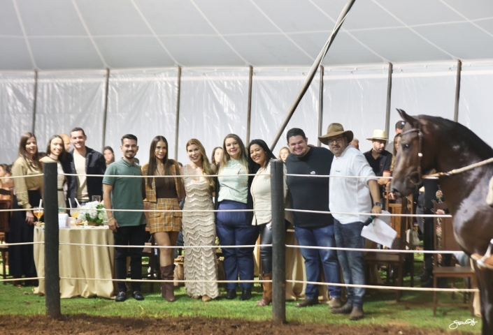 Leilão Castelo Azul (72)