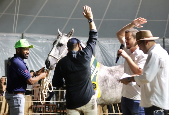 Leilão Castelo Azul (76)