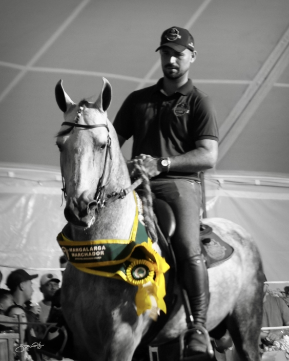 Leilão Castelo Azul (77)