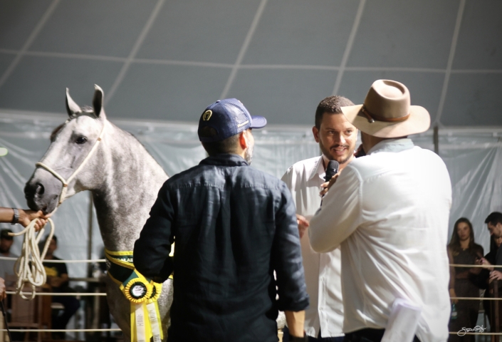 Leilão Castelo Azul (79)