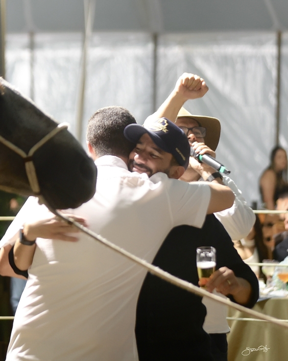 Leilão Castelo Azul (80)