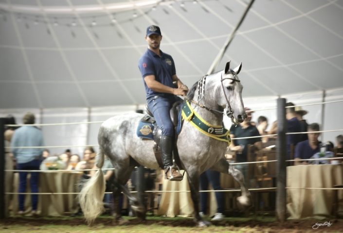 Leilão Castelo Azul (81)