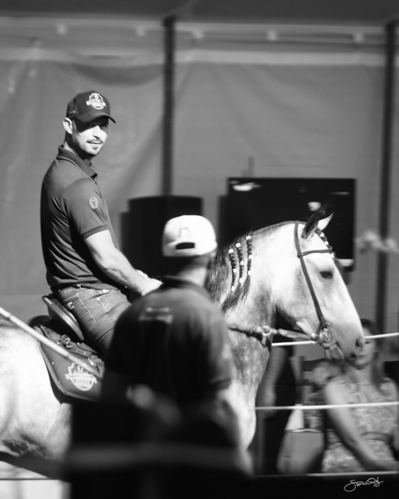 Leilão Castelo Azul (89)