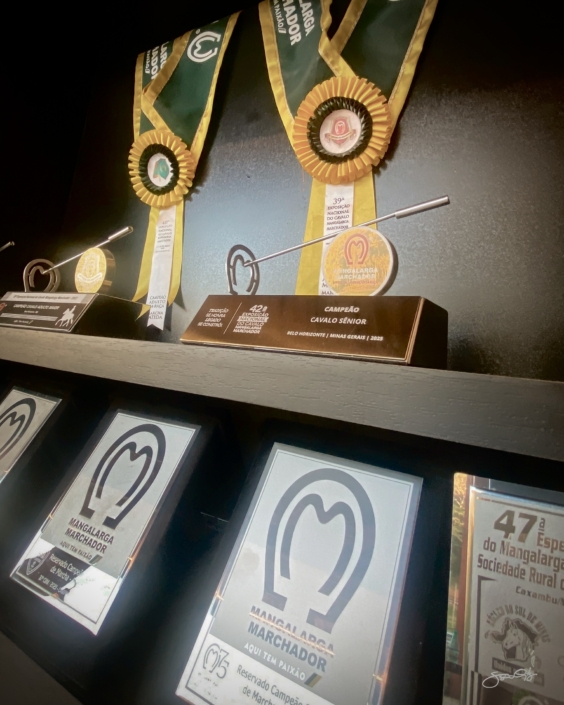 Leilão Castelo Azul (9)