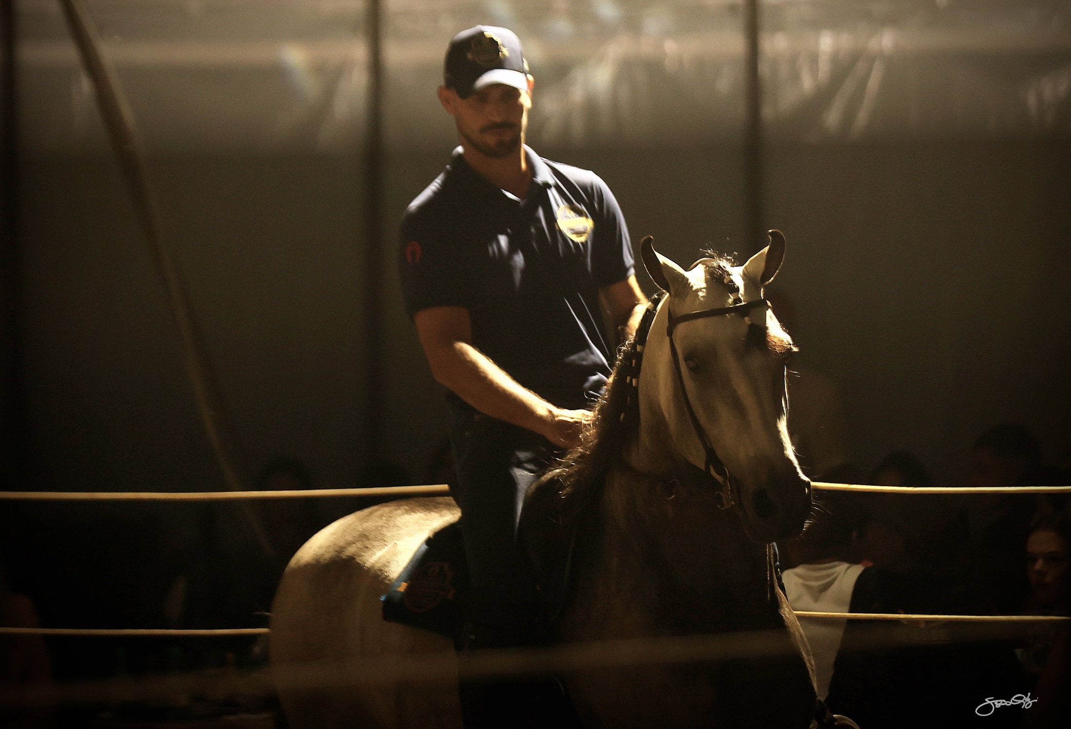 Leilão Castelo Azul (90)