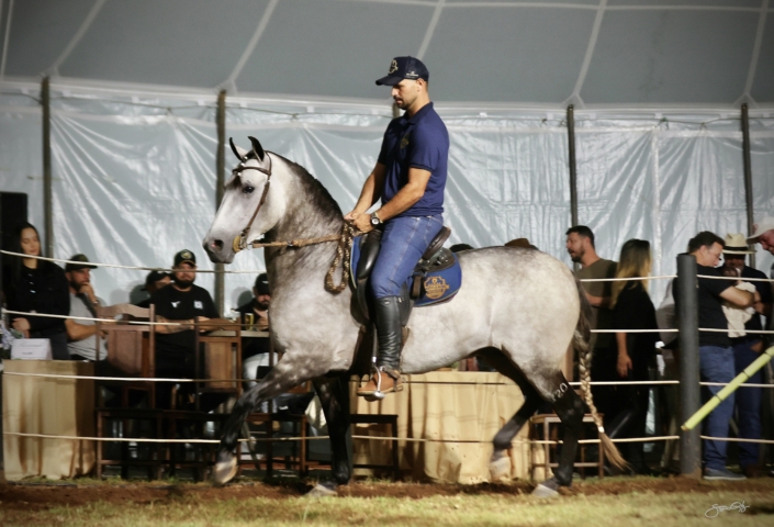 Leilão Castelo Azul (91)